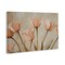 Stupell Industries Pale Pink Poppies Bundle Canvas, design by Franklyn Gregory